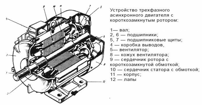 Конструкция асинхронного электродвигателя: устройство механизма от А до Я! Применение и характеристики современных электродвигателей (160 фото)