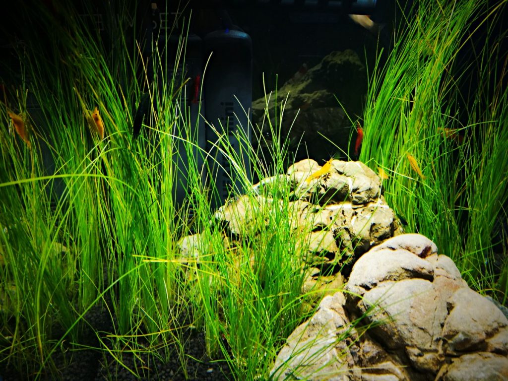 Как создать откатные ворота своими руками: Полный гид по чертежам и схемам